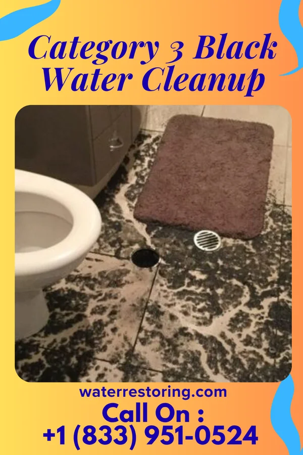 Category 3 Black Water Cleanup in Popponesset Island, MA