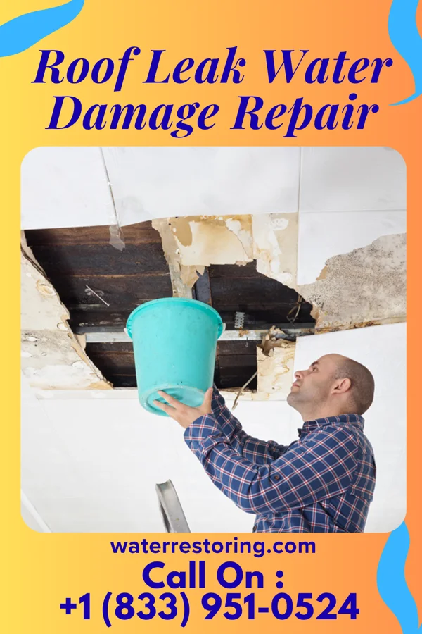 Roof Leak Water Damage Repair in Popponesset Island, MA