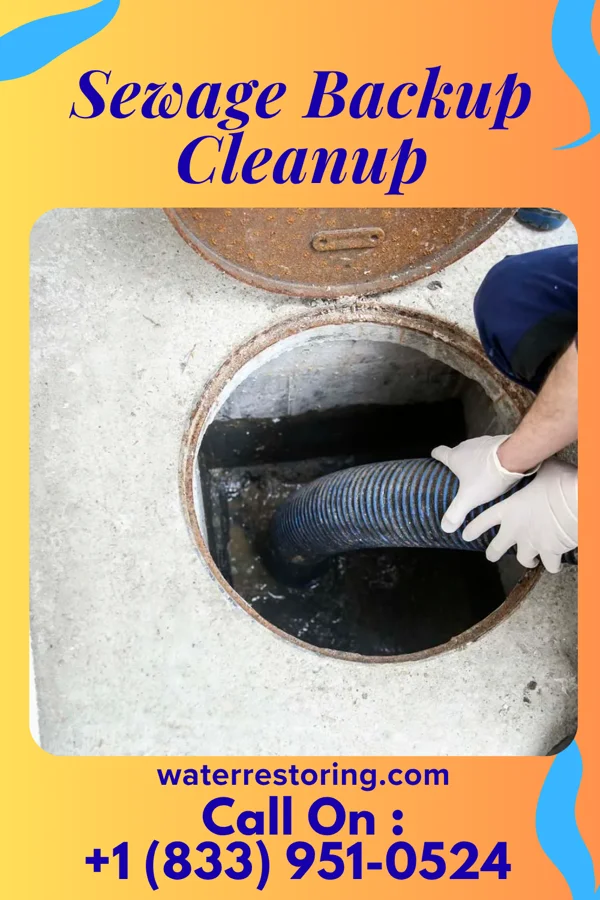 Sewage Backup Cleanup in Popponesset Island, MA