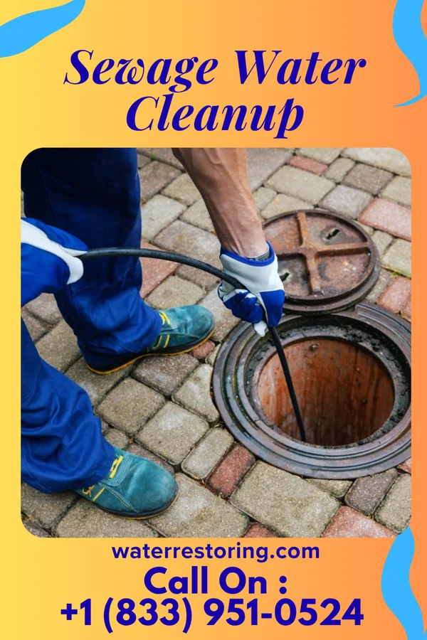 Sewage Water Cleanup in Popponesset Island, MA
