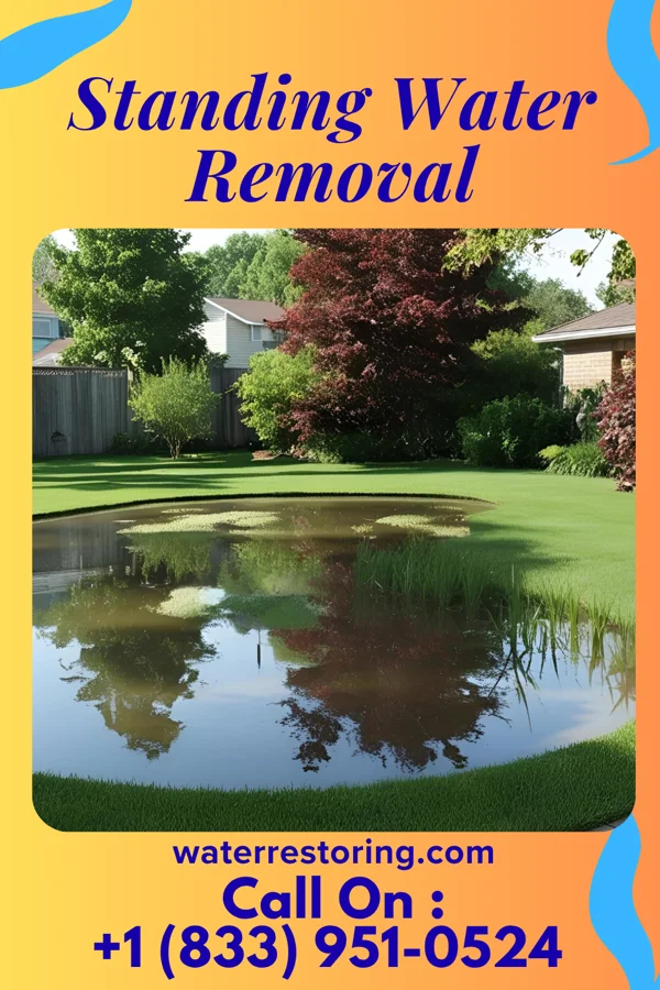 Standing Water Removal in Popponesset Island, MA